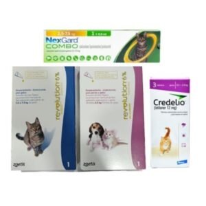 banner mascotas 8-convertido-a-736x736 (2) (1)