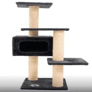 gatos 1-convertido-a-736x736 (1) (1)