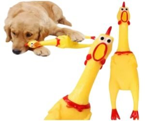 Juguete Para Perro Pollo Chillón Pito