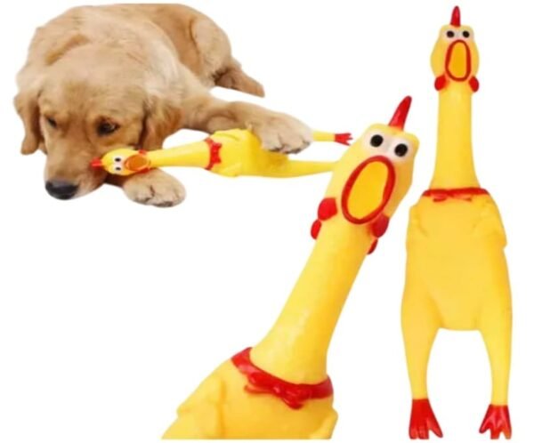 pollo-Photoroom-convertido-a-820x680 (1) Juguete Para Perro Pollo Chillón Pito